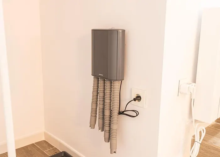 Avalanch Sierra Nevada